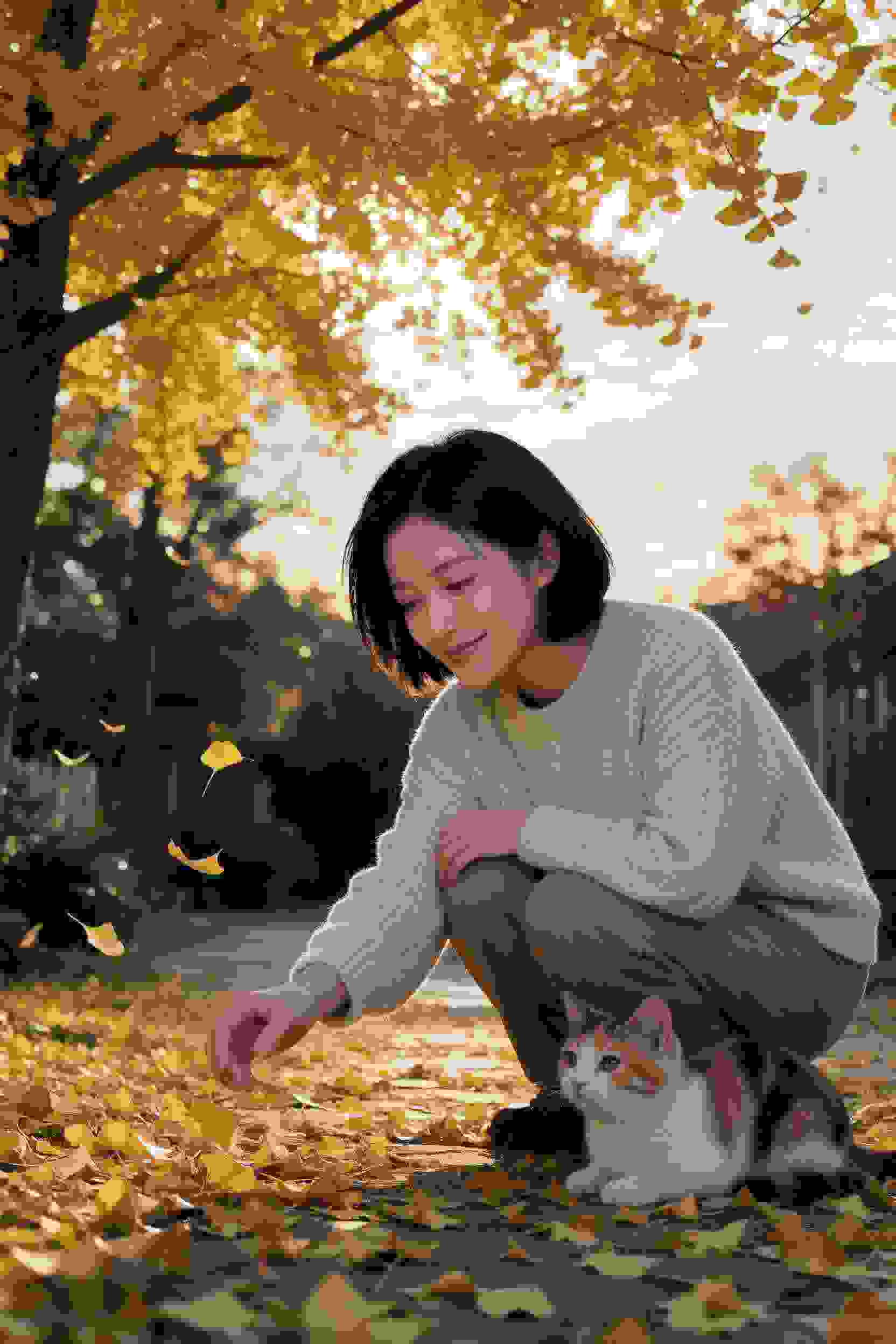 异星访客